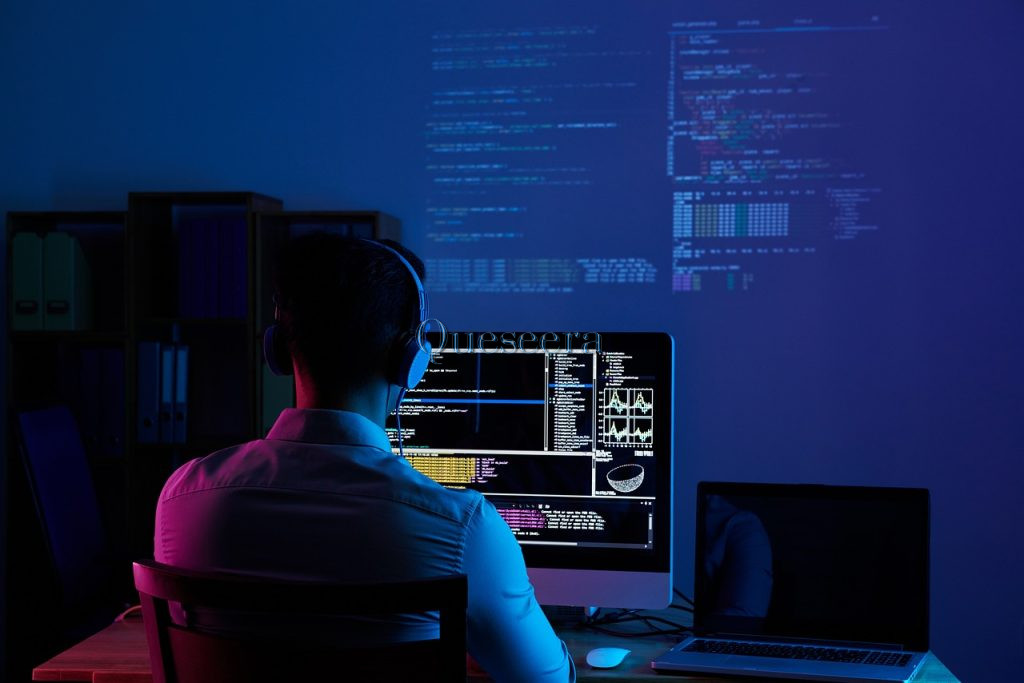 Software Market Of India