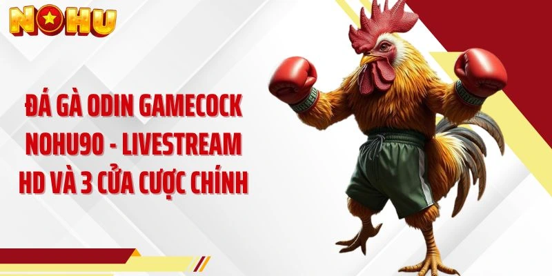 Đá Gà ODIN Gamecock NOHU90 - Livestream HD Và 3 Cửa Cược Chính