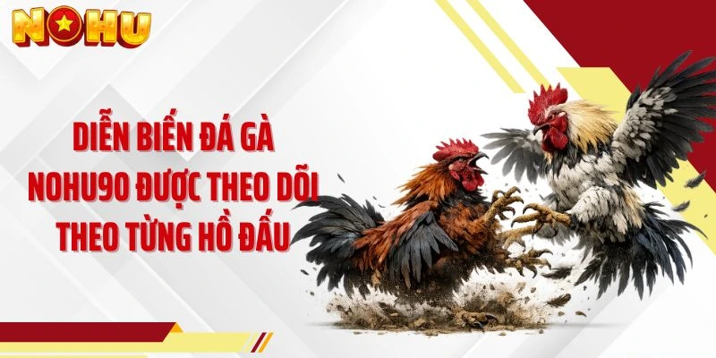 Diễn biến đá gà NOHU90 được theo dõi theo từng hồ đấu