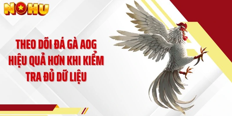 Theo dõi đá gà AOG hiệu quả hơn khi kiểm tra đủ dữ liệu